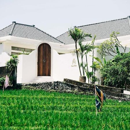 New Design Villa Casa Alma 3Bdr With Private Pool, Canggu Ngoại thất bức ảnh
